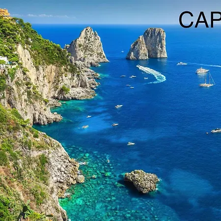 Piccolo Lucio Napoli